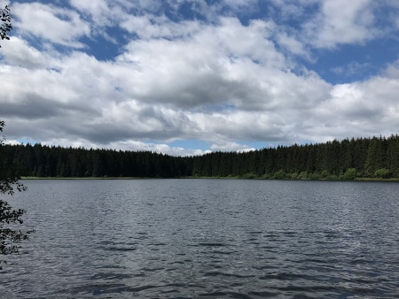 Harz, Wanderung