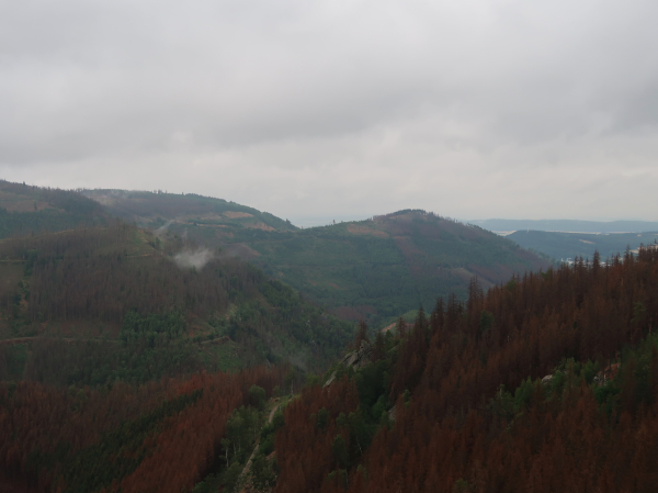 Harz, Wandern, Jahresrückblick 2022